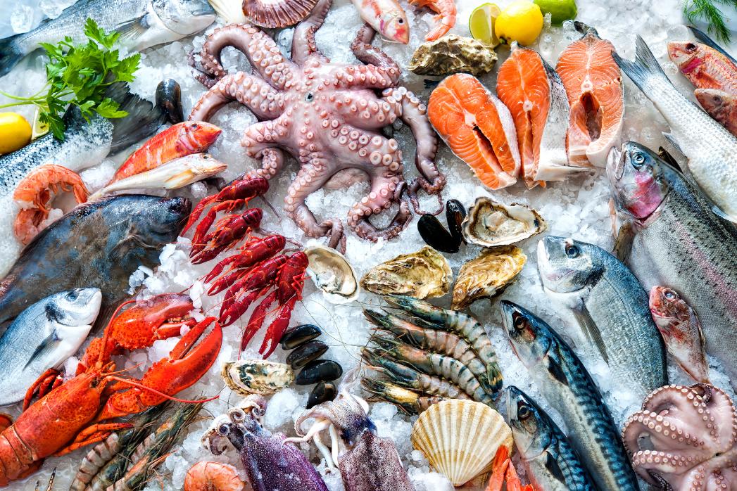 Fresh Mediterranean seafood assortment with fish, octopus, shrimp and oysters on ice