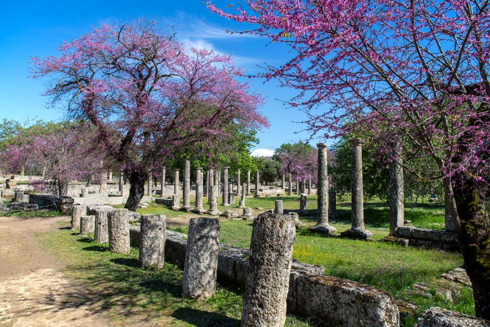ANCIENT OLYMPIA